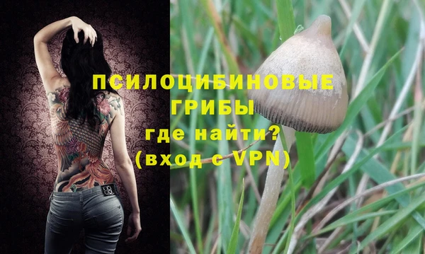 хмурый Алексеевка