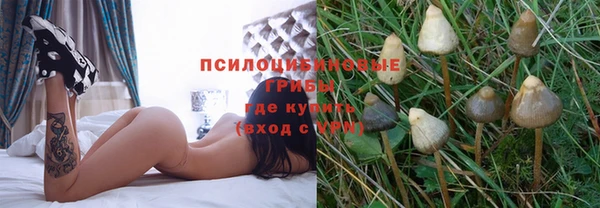дурь Алзамай