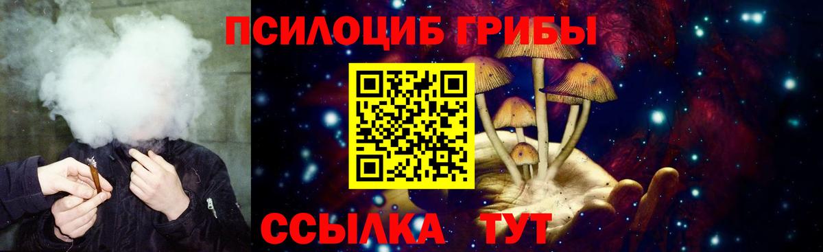 Псилоцибиновые грибы GOLDEN TEACHER  Вход с VPN  Бирск 